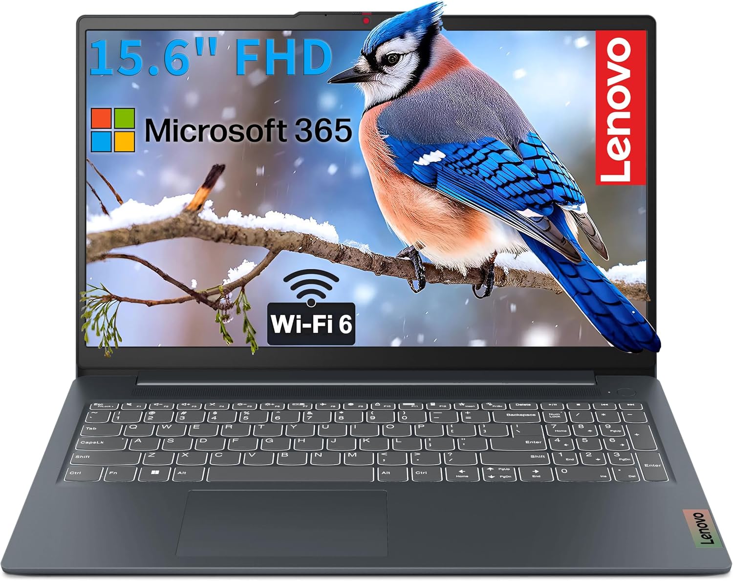 Lenovo V15 FHD Laptop Business Student, Office 365 + Copilot AI, Intel CPU